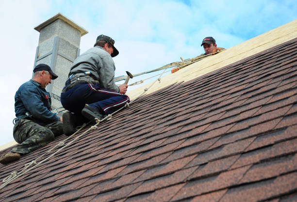 Best Metal Roofing Contractor  in Coldwater, MI